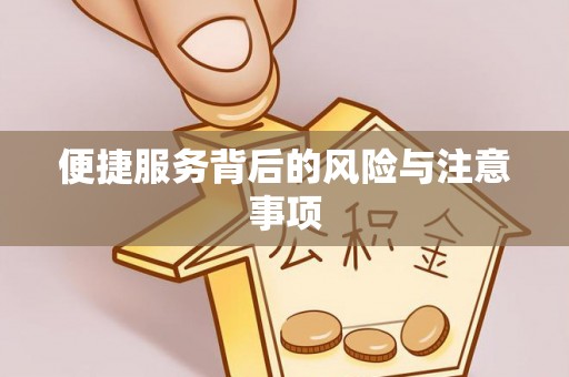 涟水便捷服务背后的风险与注意事项